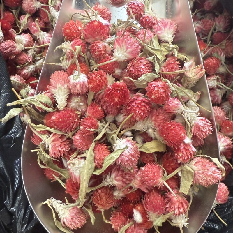 红巧梅大货供应零售批发