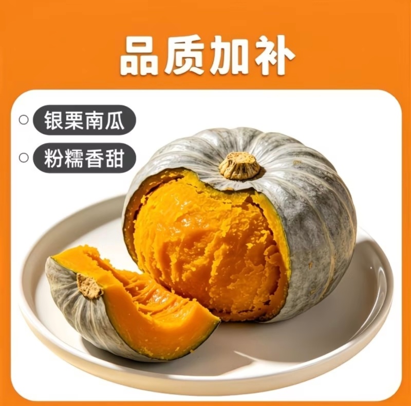 【银栗】河北精品银栗南瓜种植基地新鲜采摘粉糯香甜品质保障