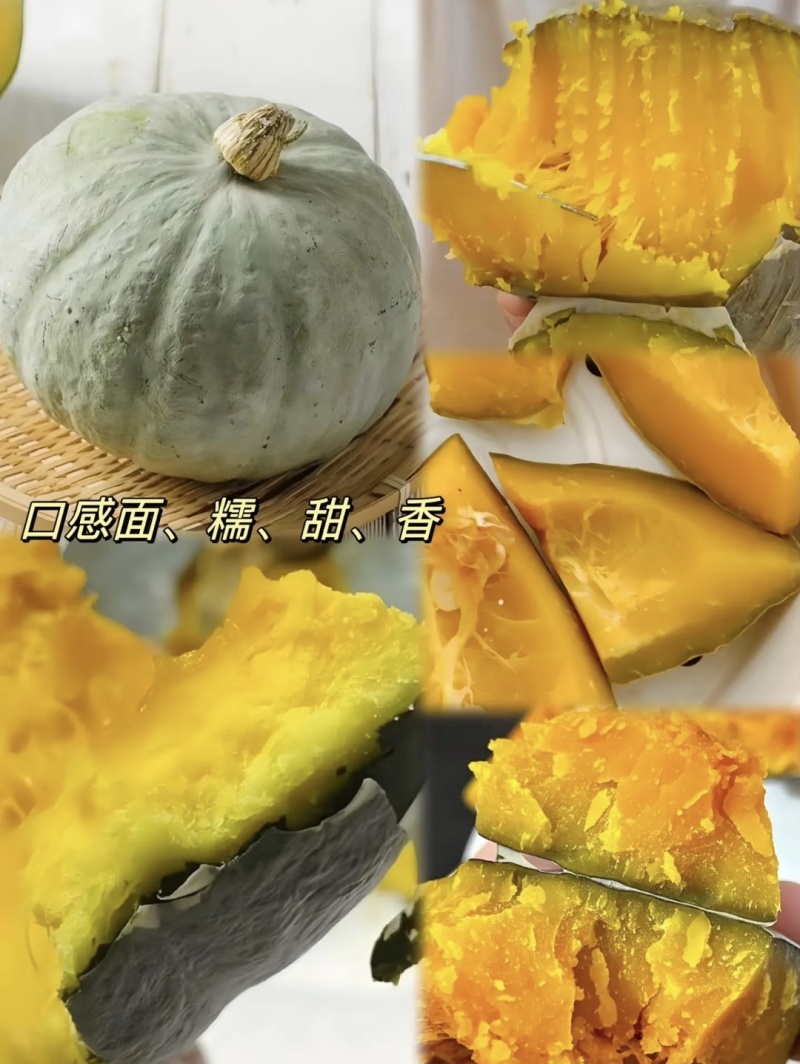 【银栗】河北精品银栗南瓜种植基地新鲜采摘粉糯香甜品质保障