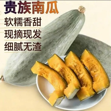 【贵族】贵族南瓜新鲜上市现摘现发质优价廉物超所值对接全国