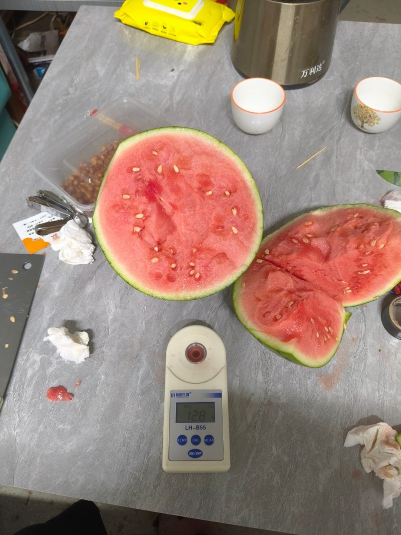 蜜童无籽西瓜
