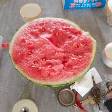 蜜童无籽西瓜