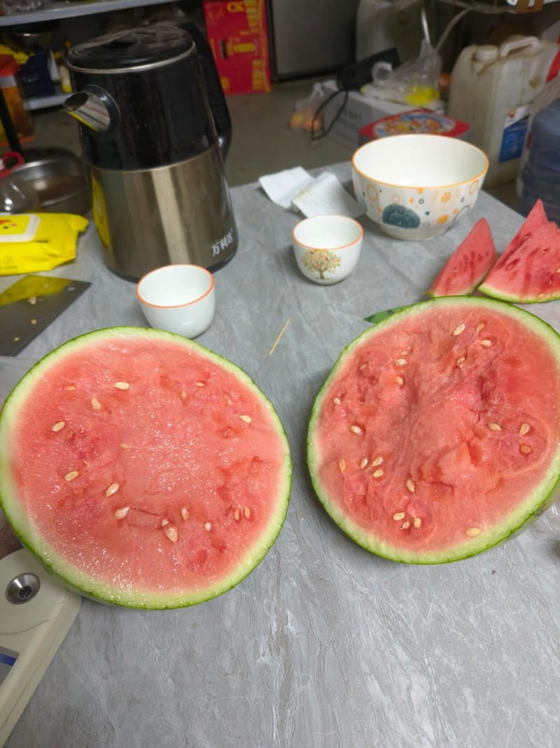 蜜童无籽西瓜
