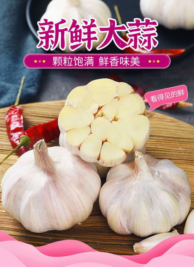 紫皮大蒜精品净蒜毛蒜量大产地货源充足真诚服务。