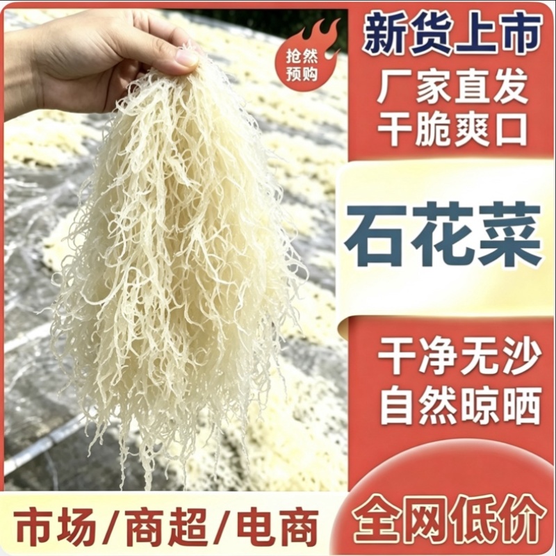 石花菜潮菜源头厂家现货直发量大价优对接市场商超