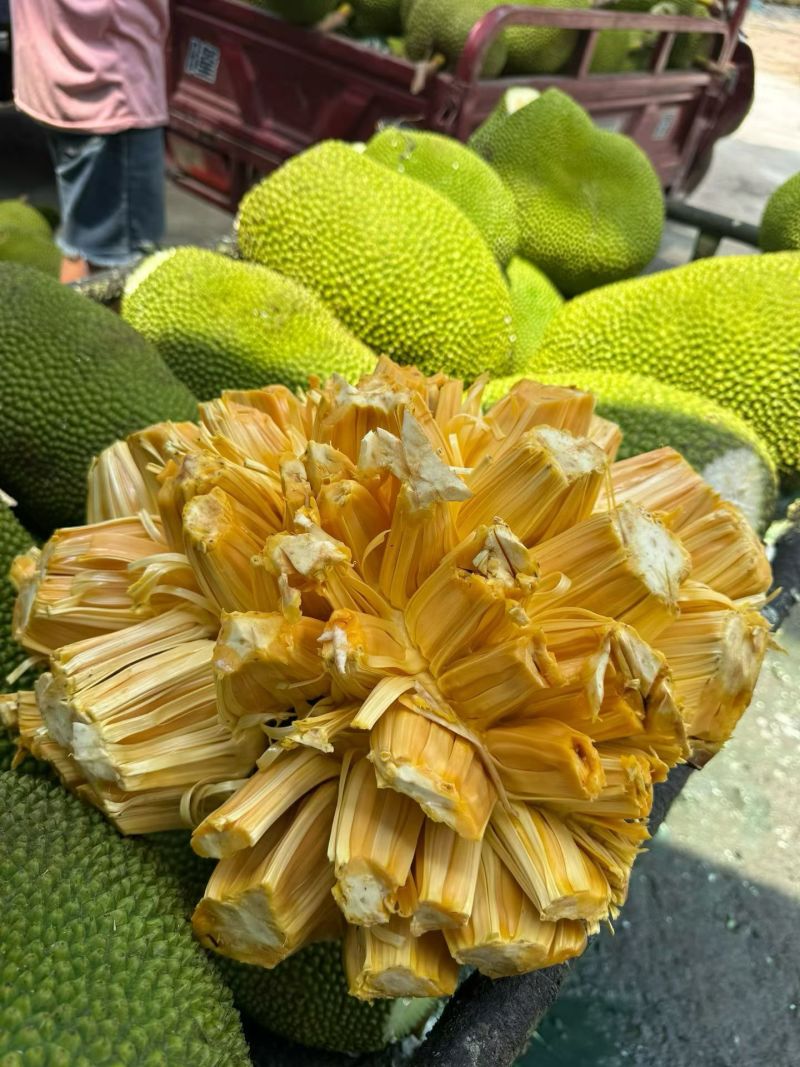 海南菠萝蜜整车发货全国各地