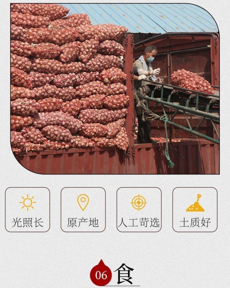 紫皮大蒜精品净蒜毛蒜量大产地货源充足真诚服务。
