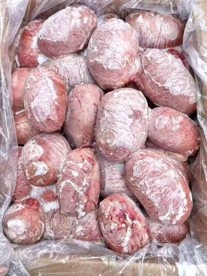 猪宝,全国发货,量大优惠