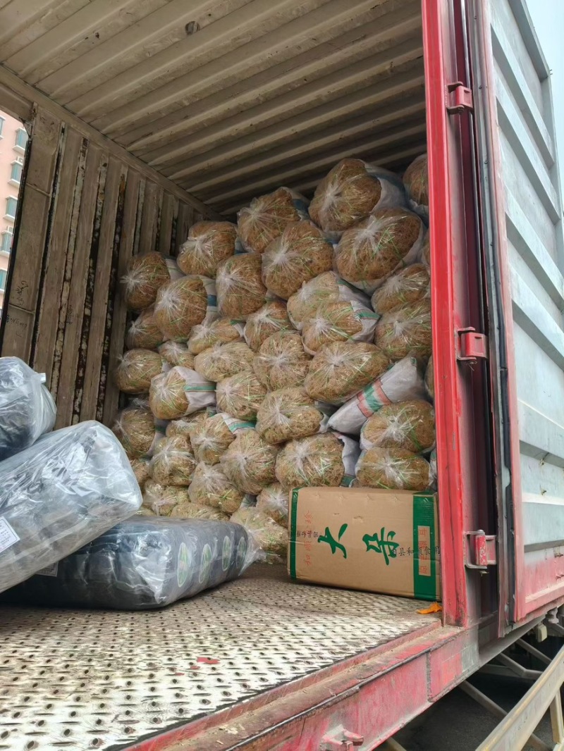 石花菜潮菜源头厂家现货直发量大价优对接市场商超