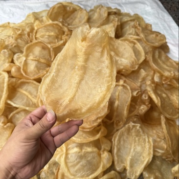 黄花片，黄花公新价大货批发留点会所专用花胶
