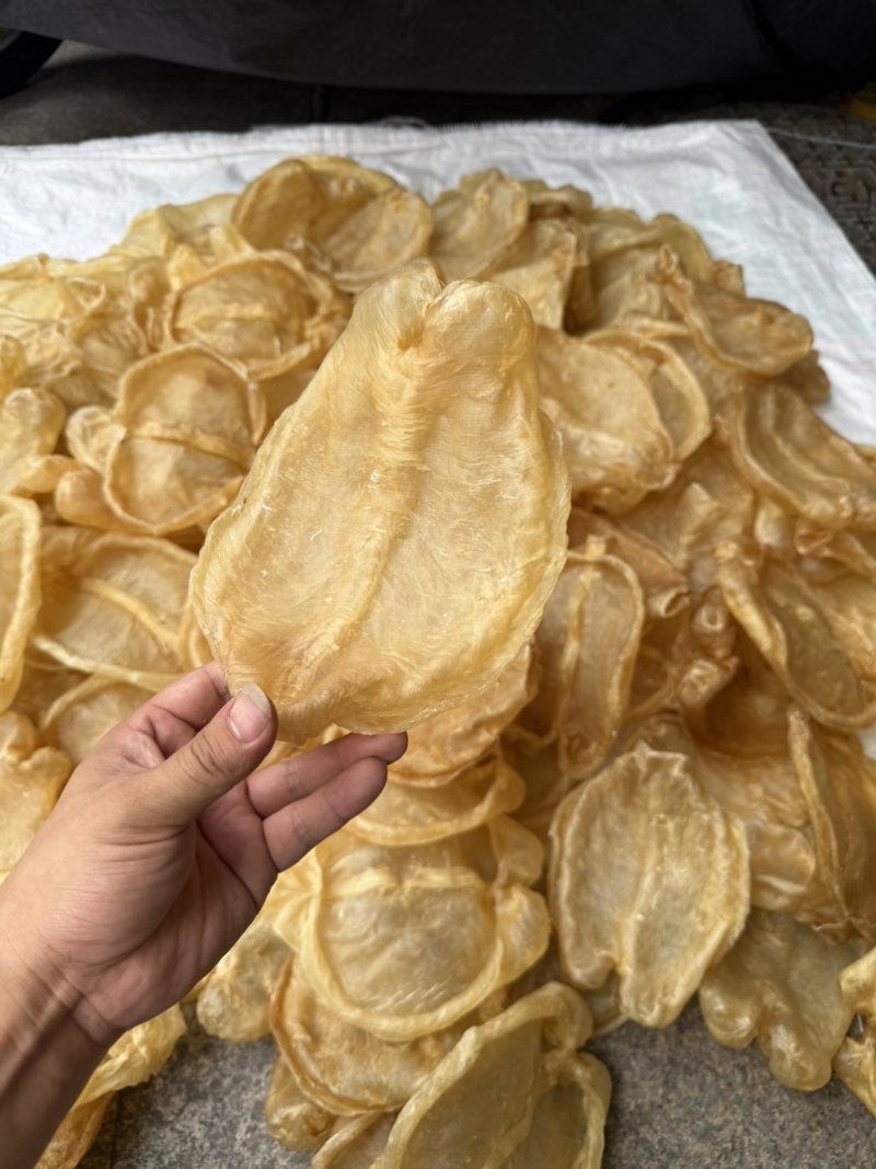 黄花片，黄花公新价大货批发留点会所专用花胶