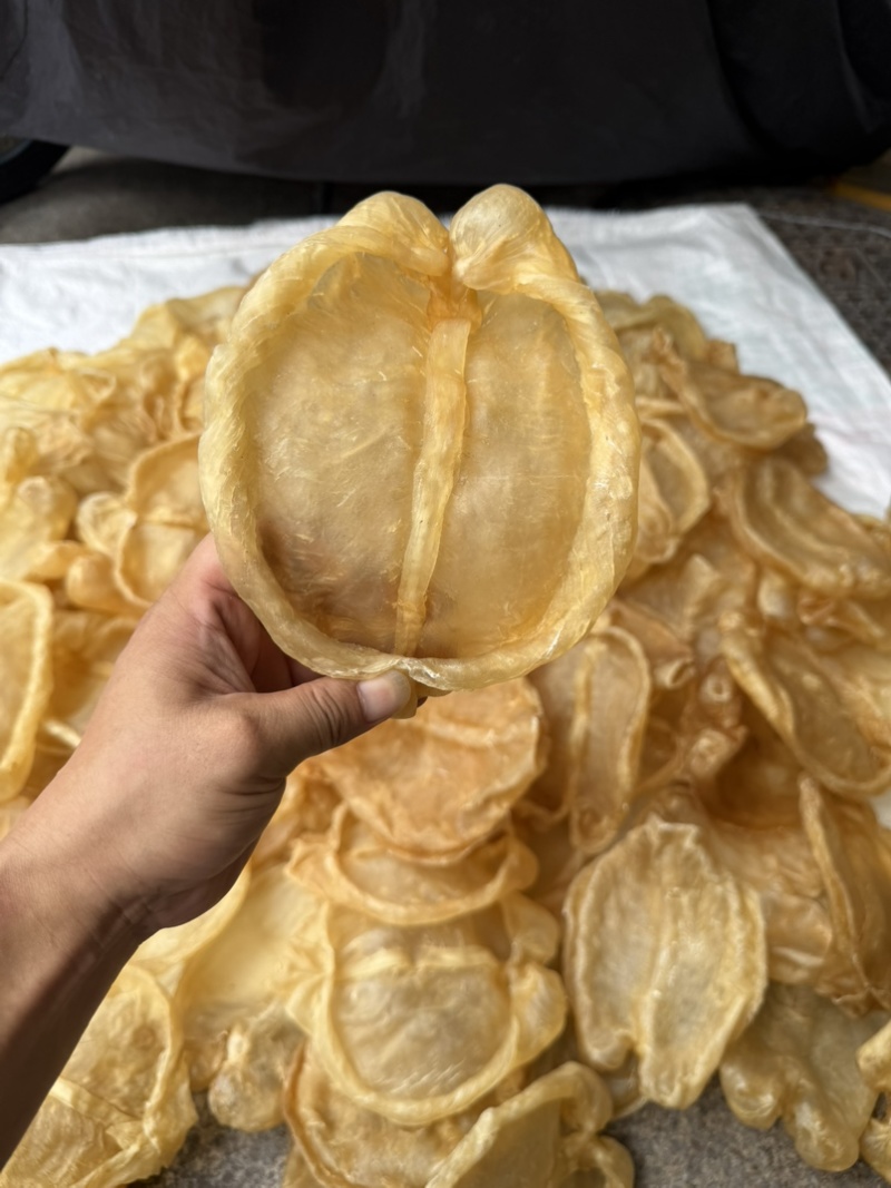 黄花片，黄花公新价大货批发留点会所专用花胶