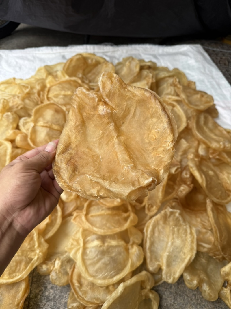 黄花片，黄花公新价大货批发留点会所专用花胶