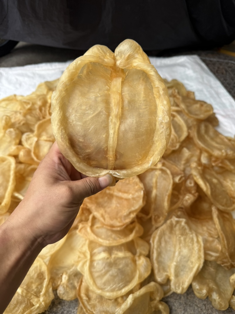 黄花片，黄花公新价大货批发留点会所专用花胶