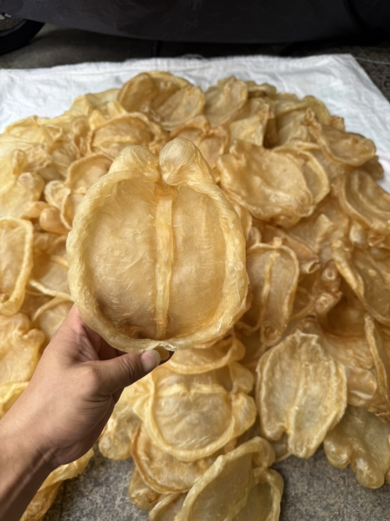 黄花片，黄花公新价大货批发留点会所专用花胶