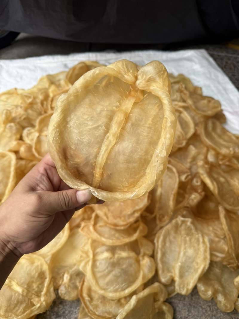 黄花片，黄花公新价大货批发留点会所专用花胶
