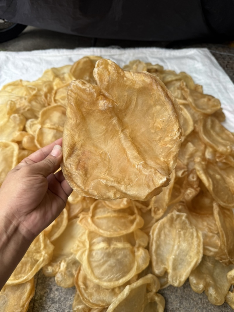 黄花片，黄花公新价大货批发留点会所专用花胶