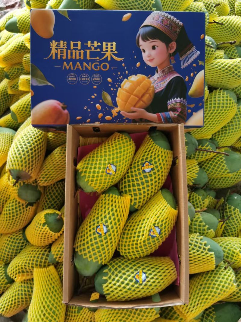 广西百色芒果，电商一件代发，直播，社区团购落地配等。