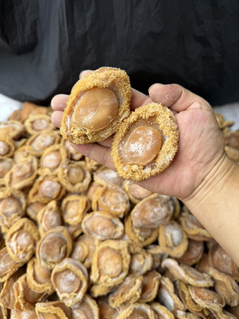 南非干鲍大货批发酒店会所招待送礼干鲍