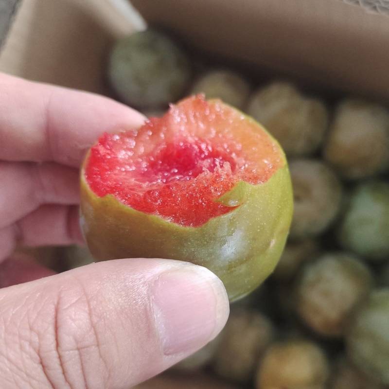 味帝李子大量上市，对接批发电商一件代发