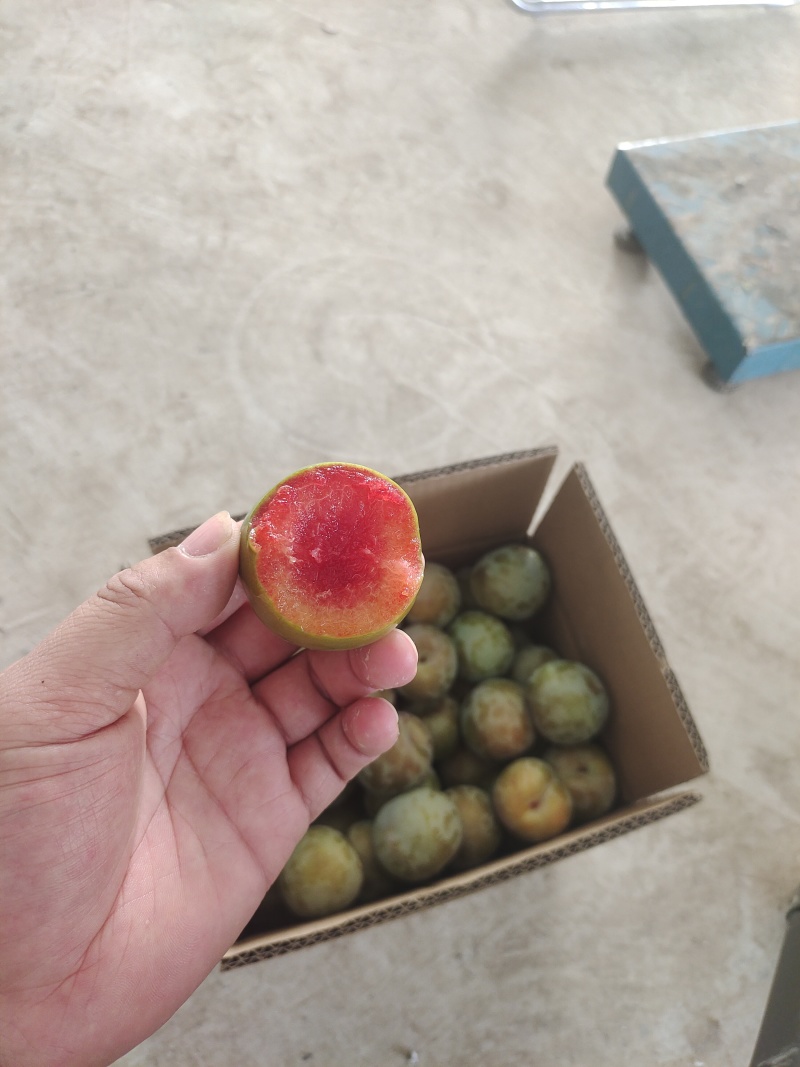 味帝李子大量上市，对接批发电商一件代发