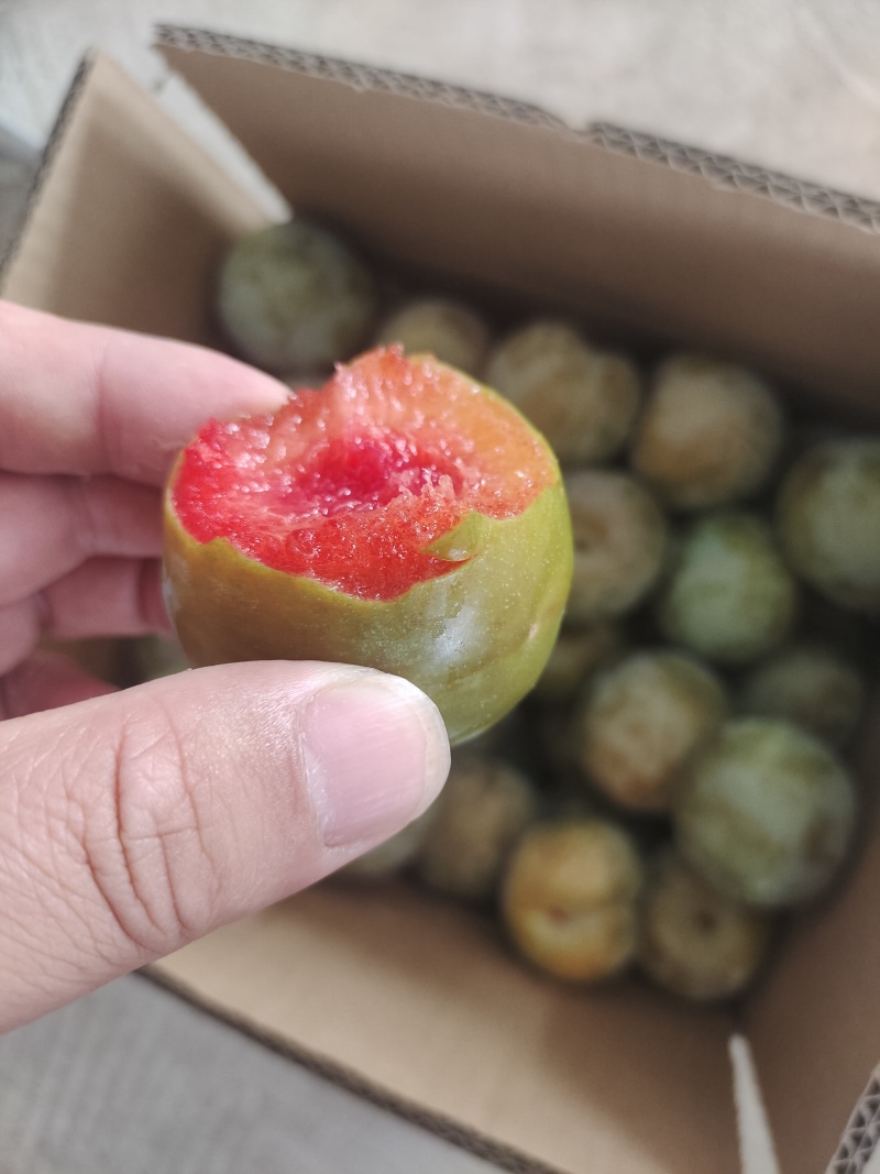 味帝李子大量上市，对接批发电商一件代发