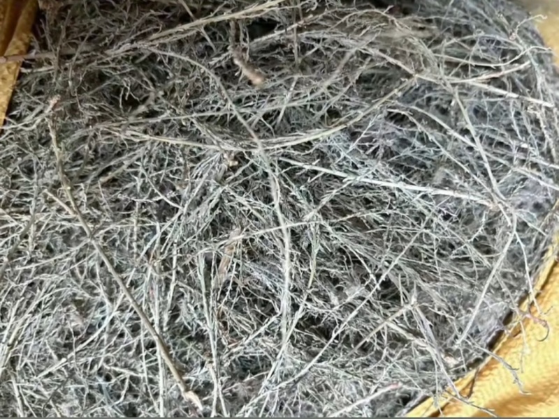 西河柳干货西河柳中药材！欢迎选购！量大从优！