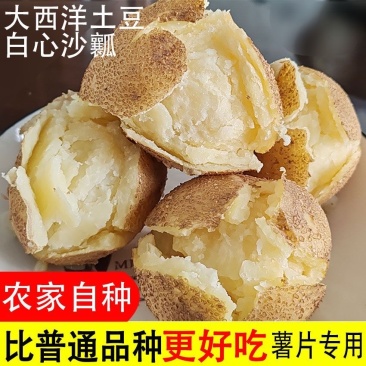 大西洋土豆黄皮白心薯片薯条基地直发保质保量价格实惠