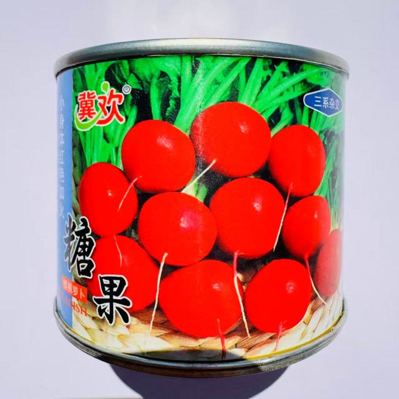 糖果樱桃萝卜种子三系杂交萝卜种子皮薄鲜红球形萝卜种子甜脆