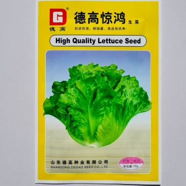 德高惊鸿生菜种子耐湿热高脚直立紧凑抗逆耐抽苔基地大田用