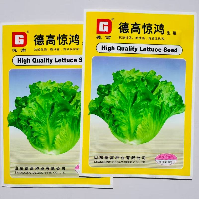 德高惊鸿生菜种子耐湿热高脚直立紧凑抗逆耐抽苔基地大田用