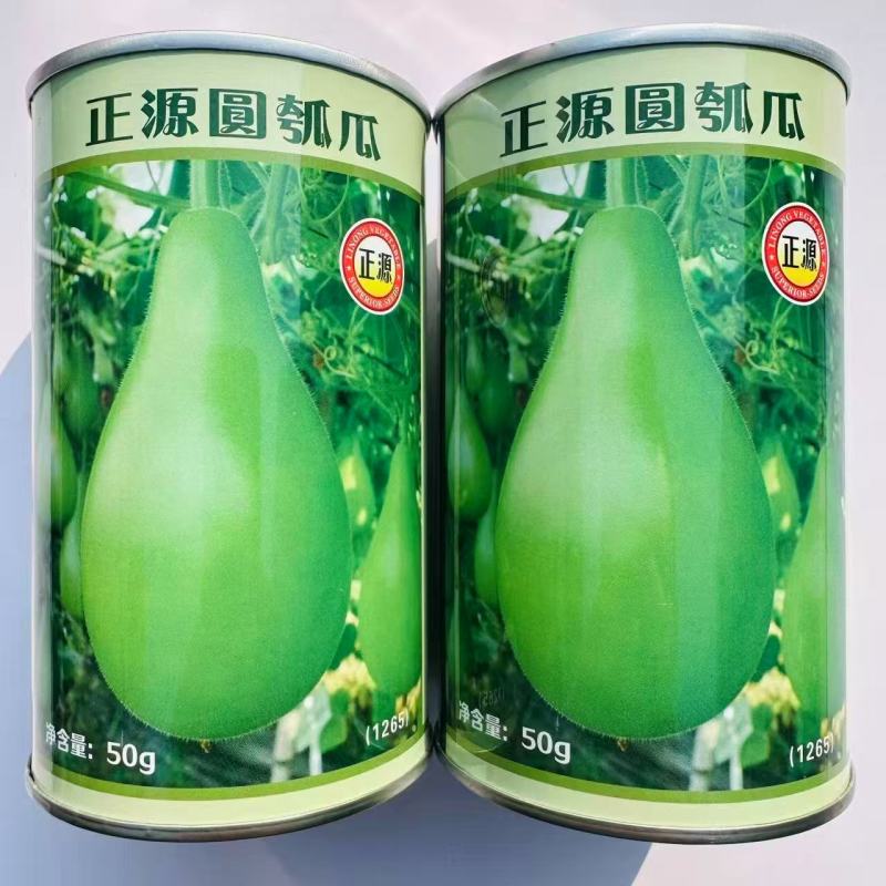 正源圆瓠瓜种子早生杂交抗病油青翠绿食用甜瓠瓜圆蒲瓜瓢瓜蔬