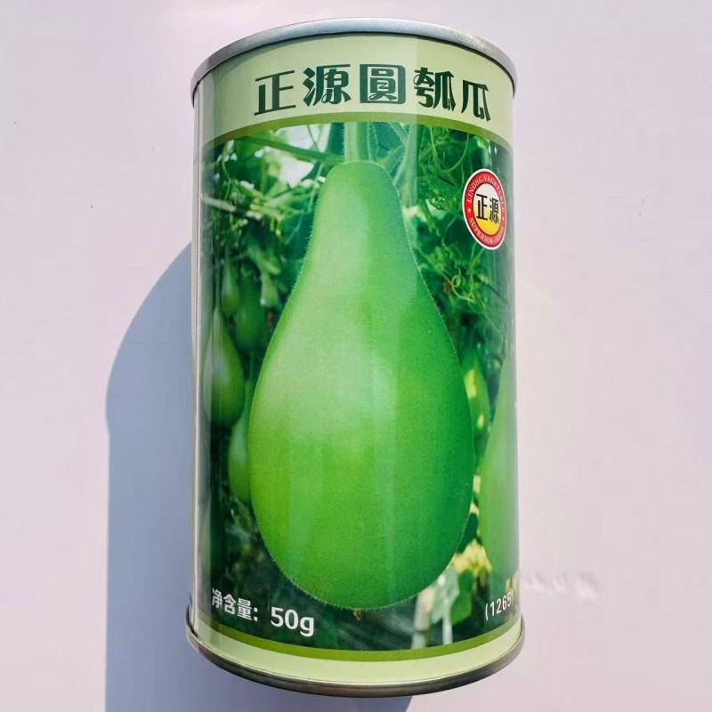 正源圆瓠瓜种子早生杂交抗病油青翠绿食用甜瓠瓜圆蒲瓜瓢瓜蔬