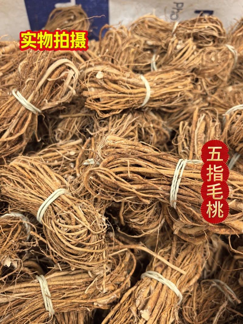 广西五指毛桃无硫煲汤靓货产地发货一手货源现挖现卖