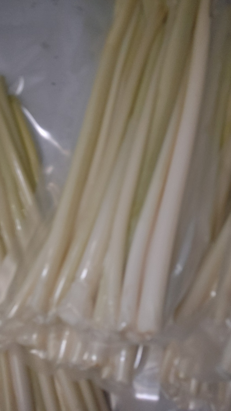 新鲜蒲菜6块