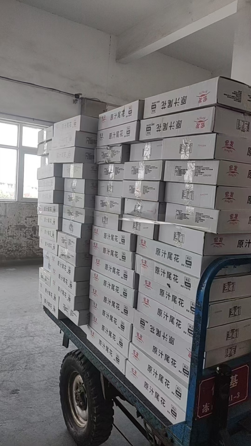 鱿鱼尾花