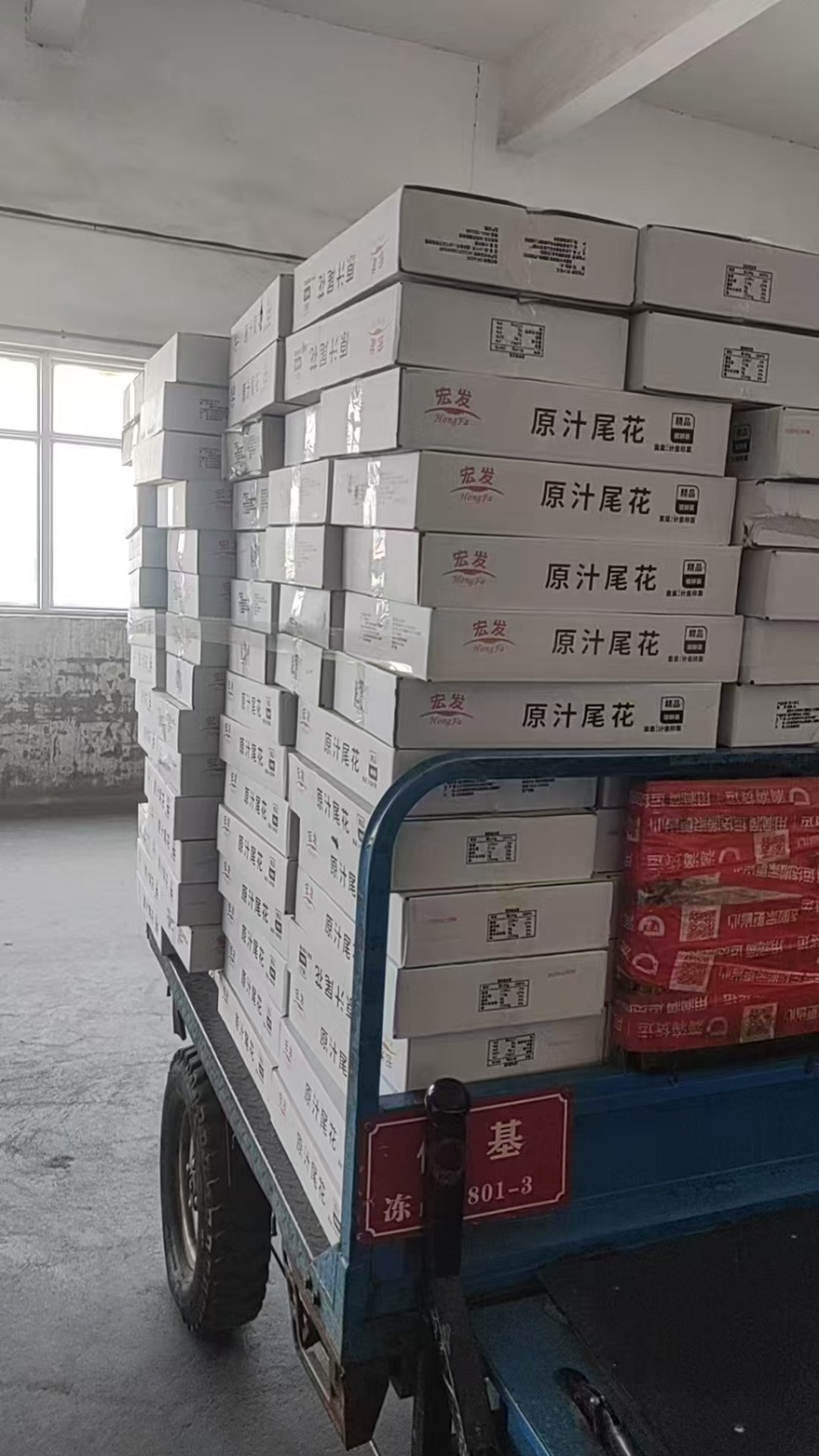 鱿鱼尾花