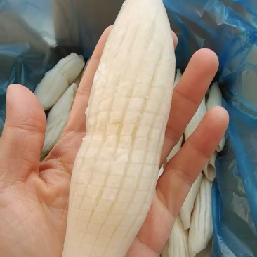 火箭鱿鱼