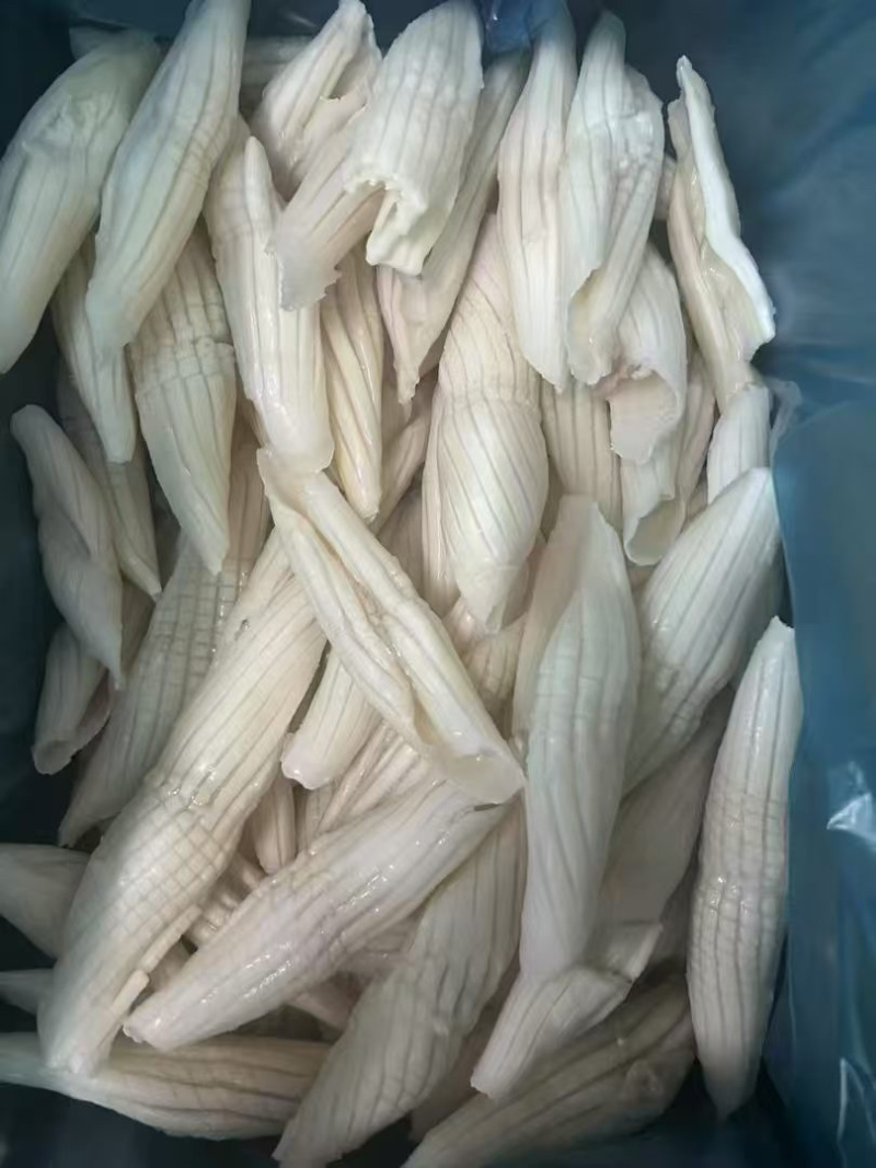 火箭鱿鱼