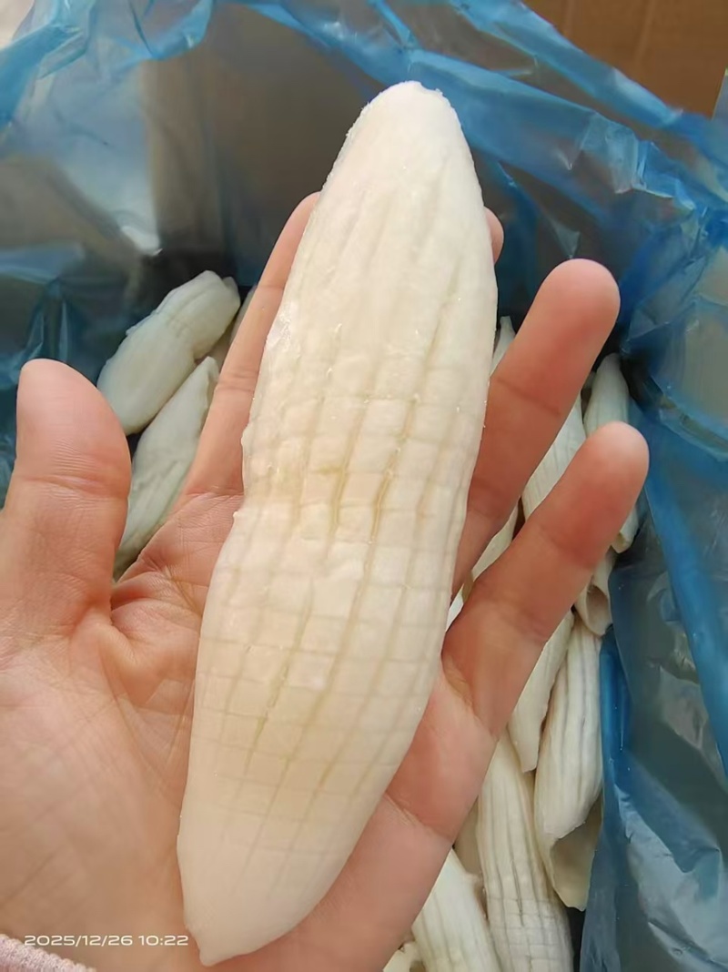 火箭鱿鱼