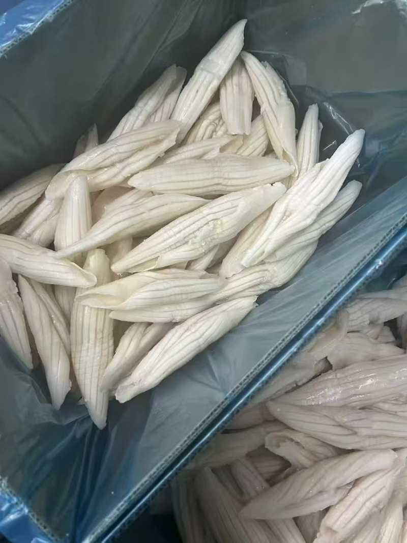 火箭鱿鱼