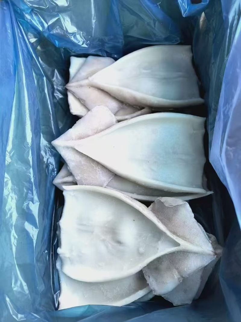 鱿鱼片