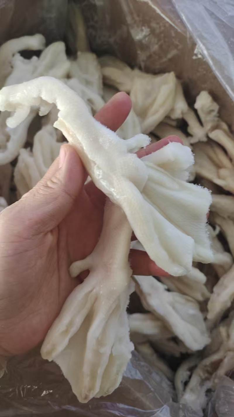去骨鸭掌