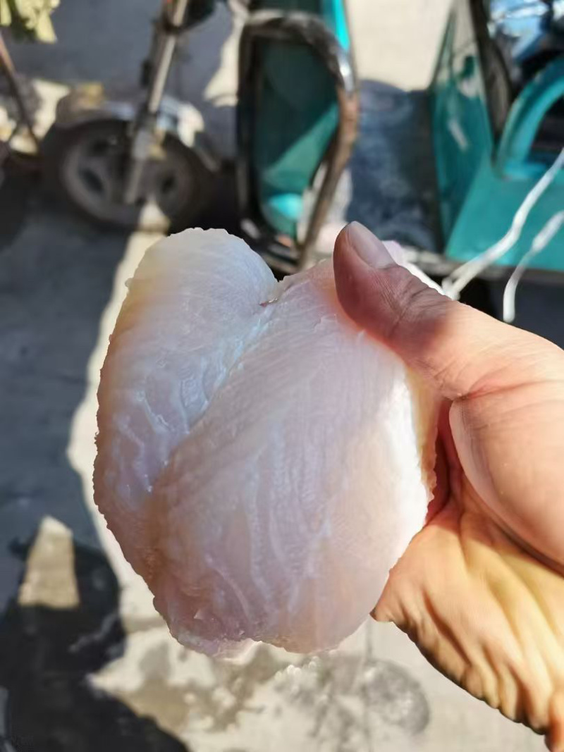 巴沙鱼片