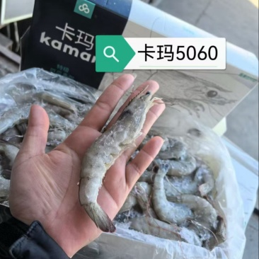 厄瓜多尔虾
