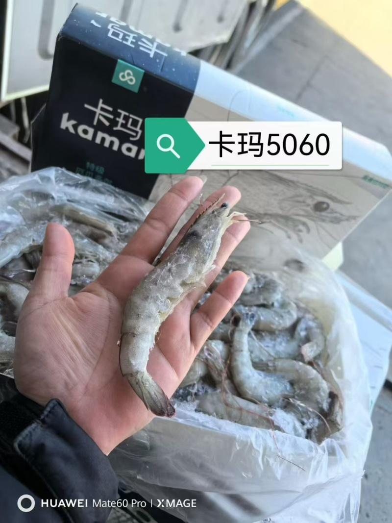 厄瓜多尔虾