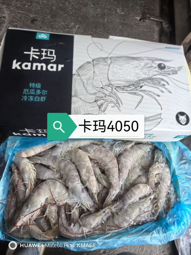 厄瓜多尔虾