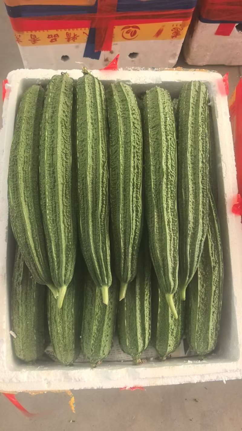 八凌丝瓜，八角瓜，广西丝瓜
