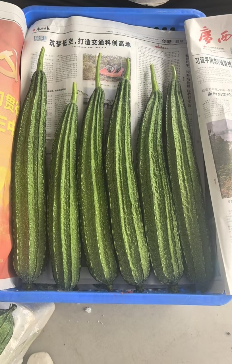 八凌丝瓜，八角瓜，广西丝瓜