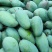 大青芒工厂果电商果次果花果果干芒果